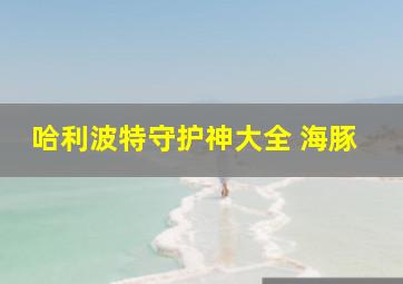 哈利波特守护神大全 海豚